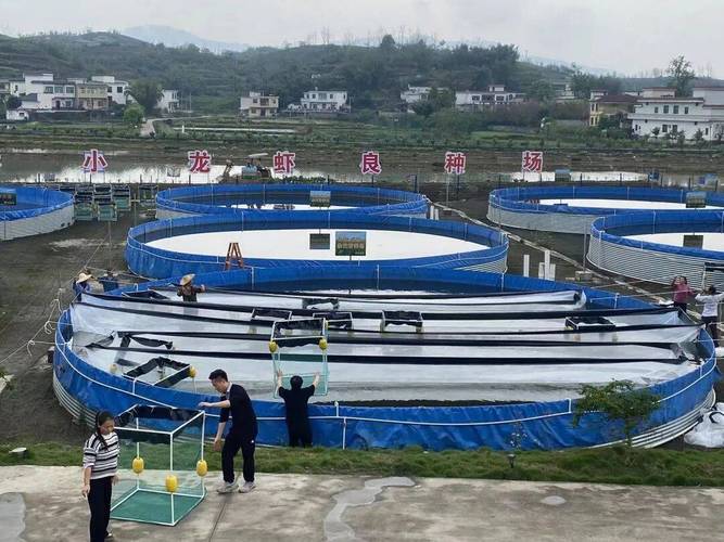 中国水产繁殖技术有何突破与挑战？-第3张图片-宁夏农业信息网