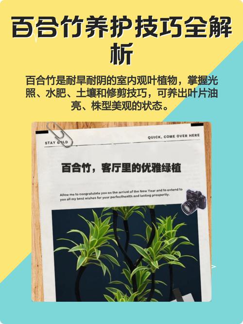 百合竹修剪视频，何时剪怎么剪？-第3张图片-宁夏农业信息网