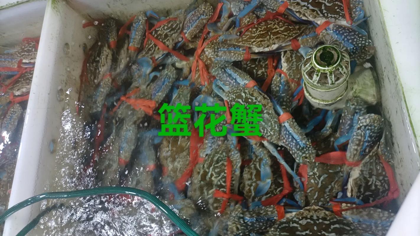 韩国2025年水产将迎来哪些新变化？-第3张图片-宁夏农业信息网