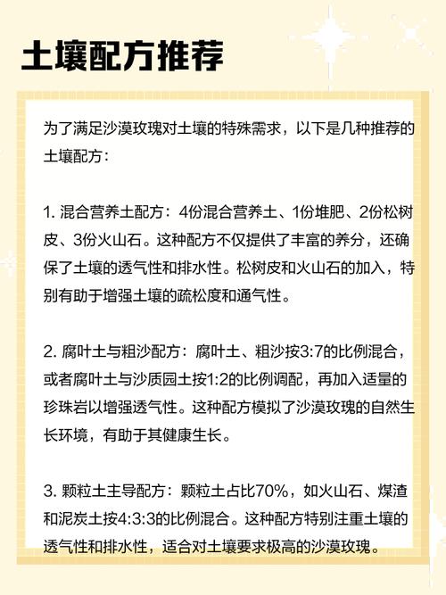 玫瑰花种子怎么种才能发芽？-第2张图片-宁夏农业信息网