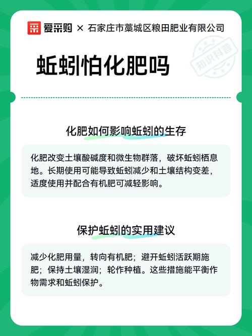 红蚯蚓有机肥怎么制作？-第2张图片-宁夏农业信息网