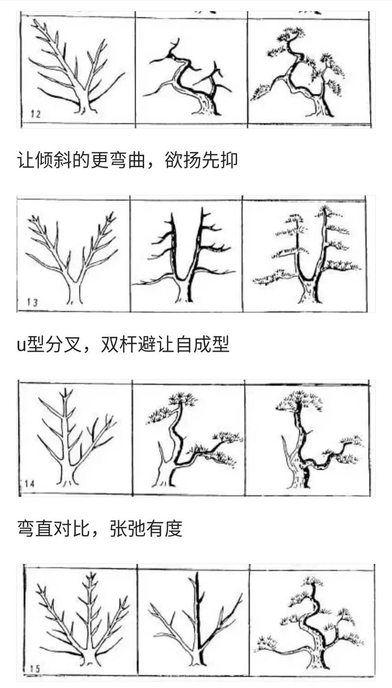 老园三叉主枝怎么修剪？-第3张图片-宁夏农业信息网