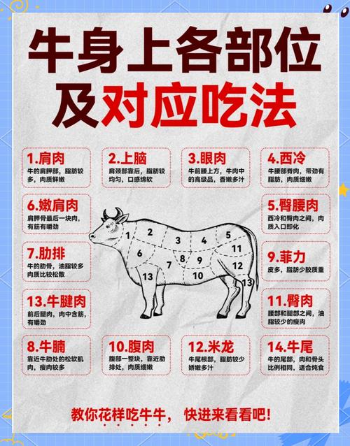 如何提高喂牛净肉率？-第3张图片-宁夏农业信息网