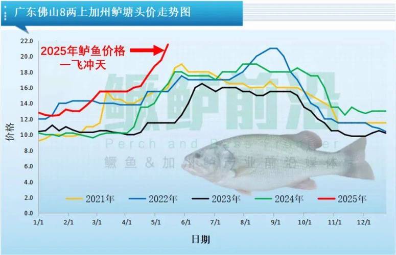 2025全球水产总量将如何变化？-第3张图片-宁夏农业信息网