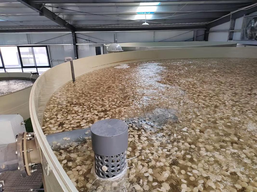 DMPT水产养殖饲料有何独特优势?-第3张图片-宁夏农业信息网 DMPT水产养殖饲料有何独特优势?-第3张图片-宁夏农业信息网