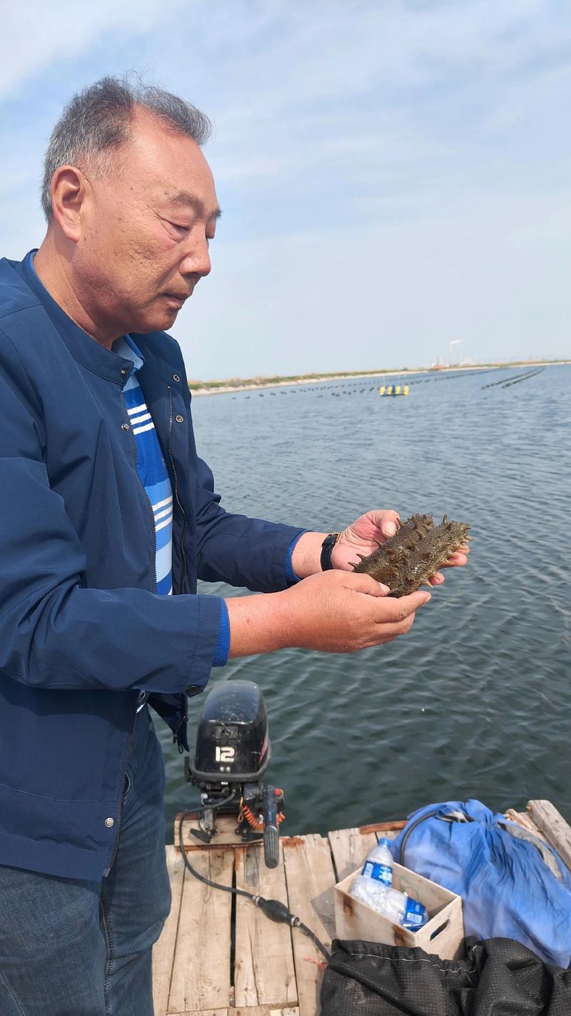 2025揭阳水产养殖将有哪些新突破？-第3张图片-宁夏农业信息网