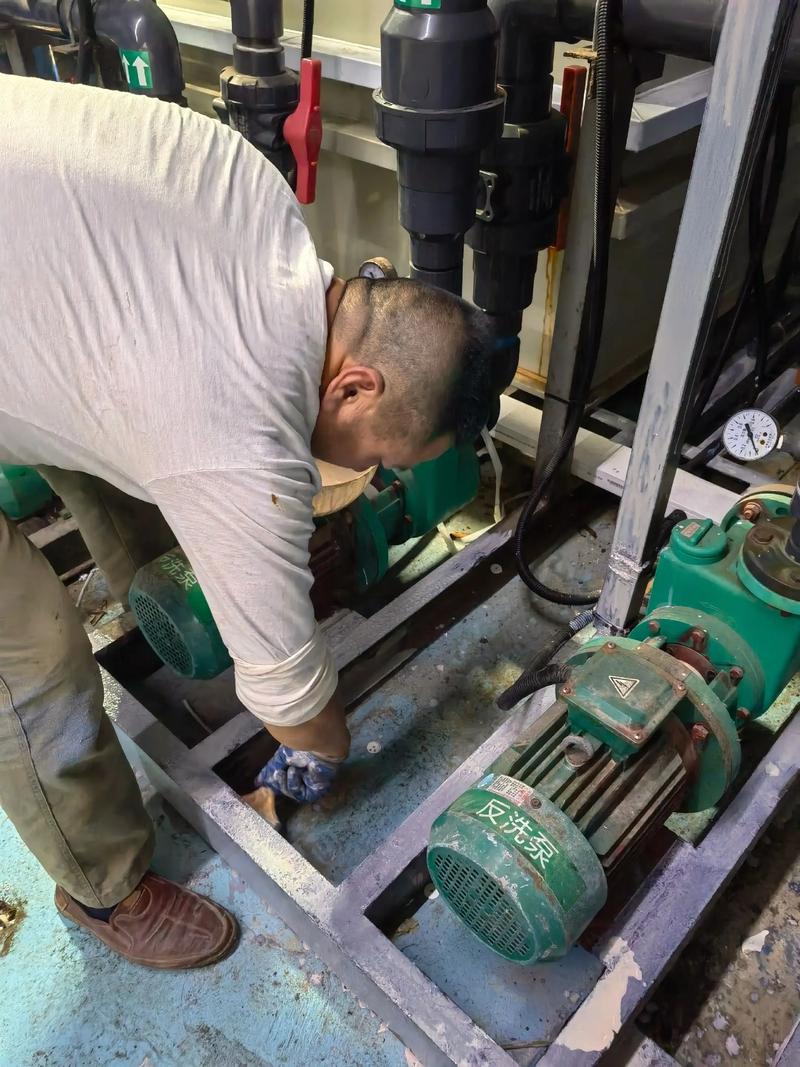 育苗海水处理有哪些方法？-第2张图片-宁夏农业信息网