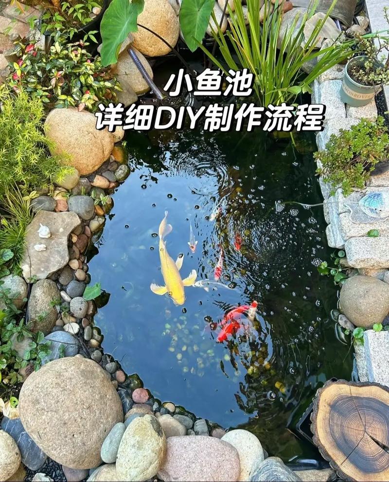 淡水鱼池塘修建方法有哪些要点？-第1张图片-宁夏农业信息网