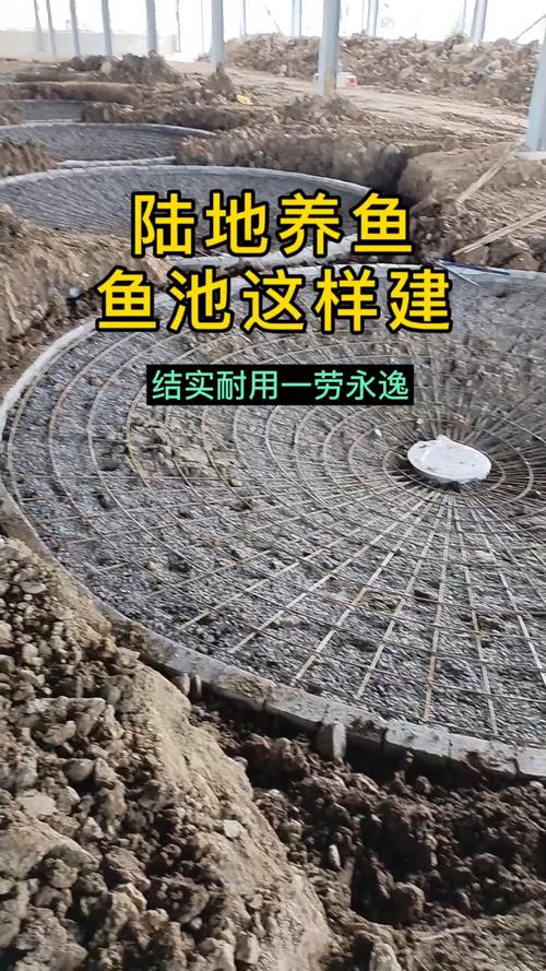 淡水鱼池塘修建方法有哪些要点？-第2张图片-宁夏农业信息网