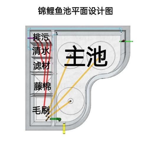 淡水鱼池塘修建方法有哪些要点？-第3张图片-宁夏农业信息网