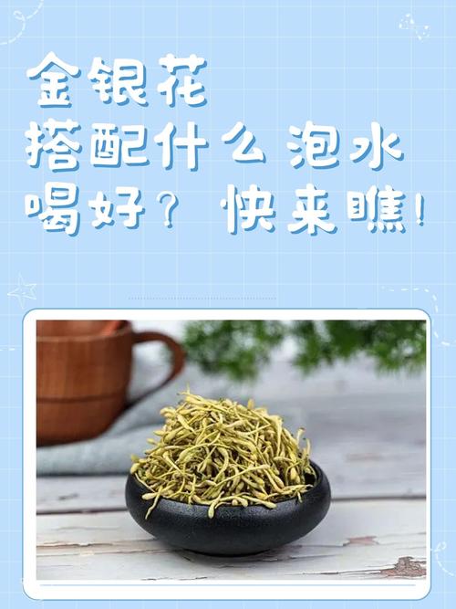 金银花哪个品种功效最好？-第2张图片-宁夏农业信息网