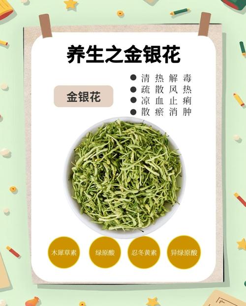 金银花哪个品种功效最好？-第1张图片-宁夏农业信息网