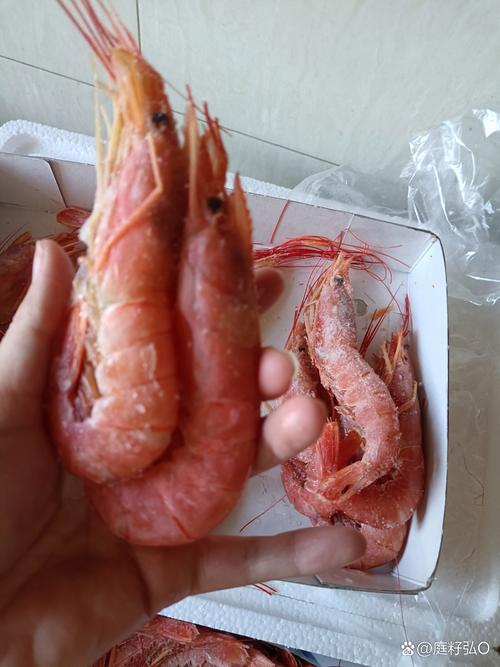 红白虾是哪个品种？-第1张图片-宁夏农业信息网