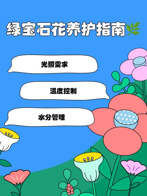 宝石花怎么养？图片教你轻松上手。-第1张图片-宁夏农业信息网
