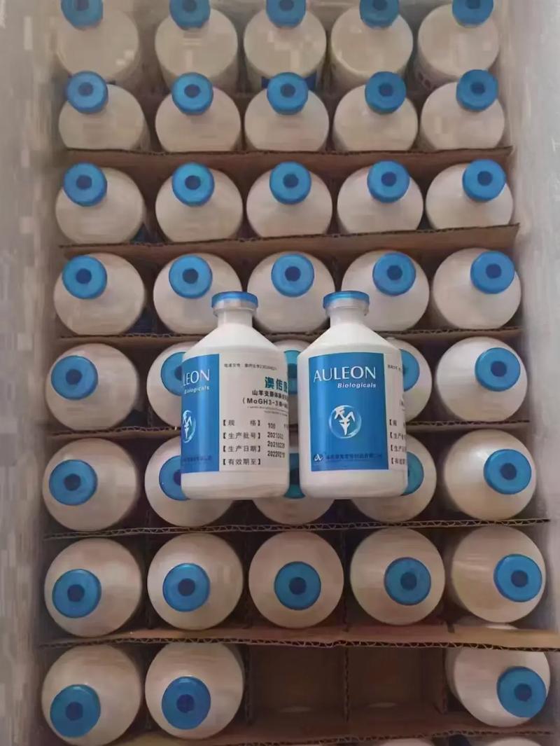 羊肺炎怎么治？有哪些有效方法？-第3张图片-宁夏农业信息网