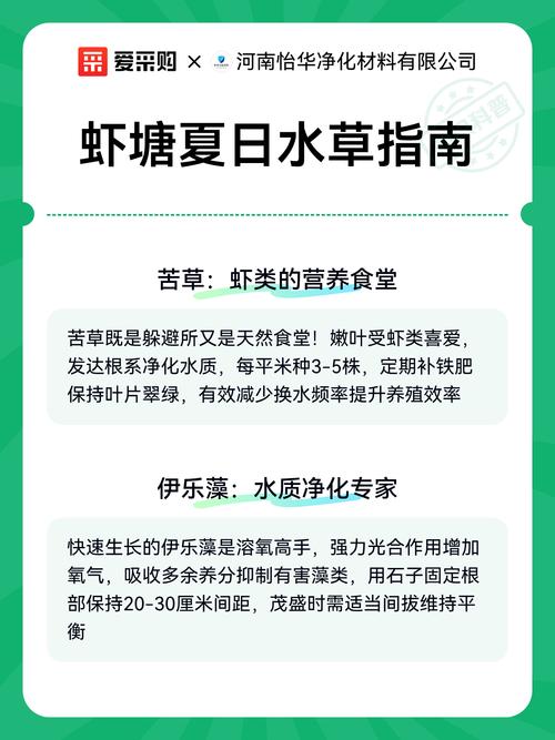 春季虾池水草接肥该怎么做？-第1张图片-宁夏农业信息网