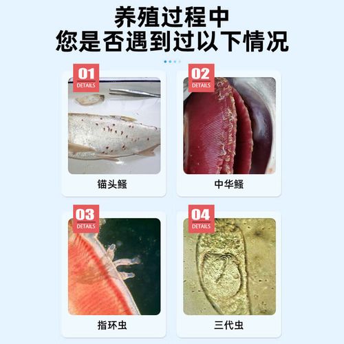 水产阿维菌素如何解救养殖危机？-第1张图片-宁夏农业信息网