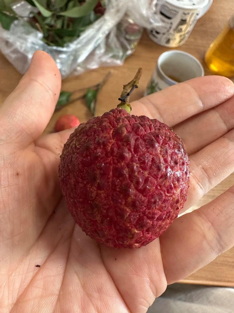 无籽荔枝品种叫什么？-第1张图片-宁夏农业信息网