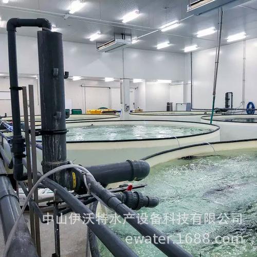 RAS系统如何赋能水产养殖？-第1张图片-宁夏农业信息网