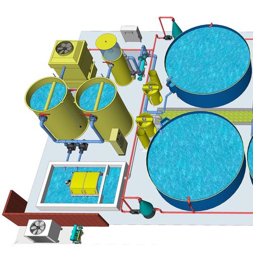 RAS系统如何赋能水产养殖？-第2张图片-宁夏农业信息网