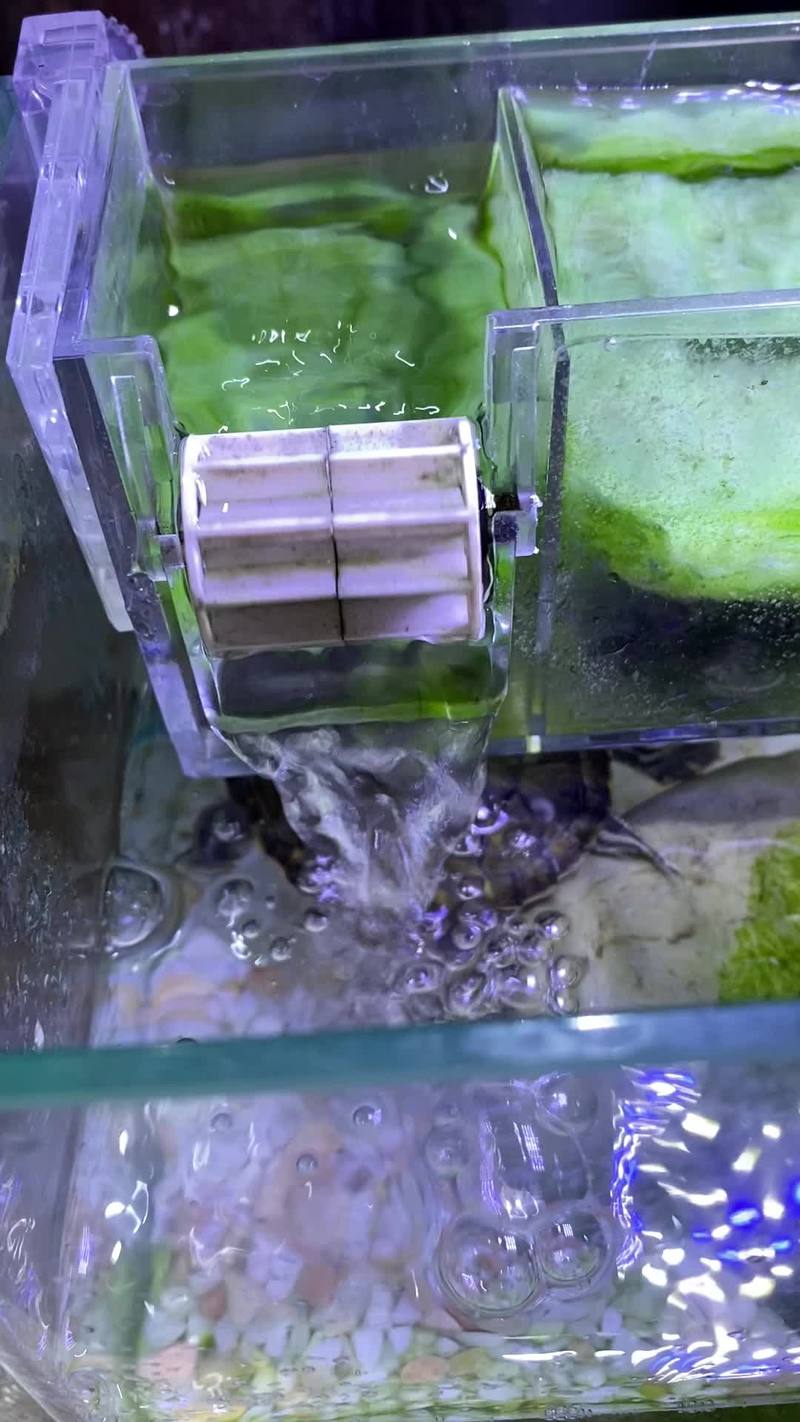 水草水产养殖实验效果如何？-第2张图片-宁夏农业信息网