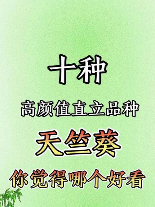 直立天竺葵有哪些品种？-第2张图片-宁夏农业信息网