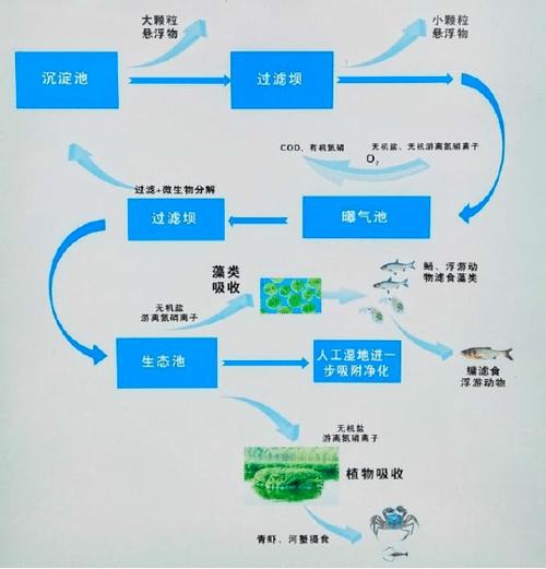 水产养殖污染税该怎么征？-第3张图片-宁夏农业信息网