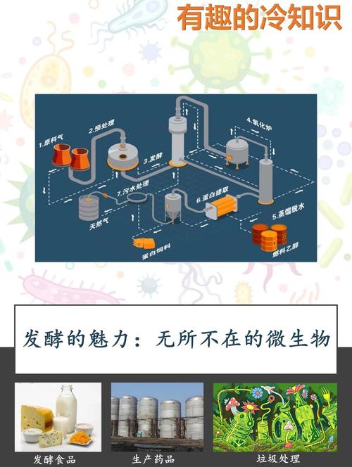 食用菌发酵多糖如何高效提取？-第2张图片-宁夏农业信息网