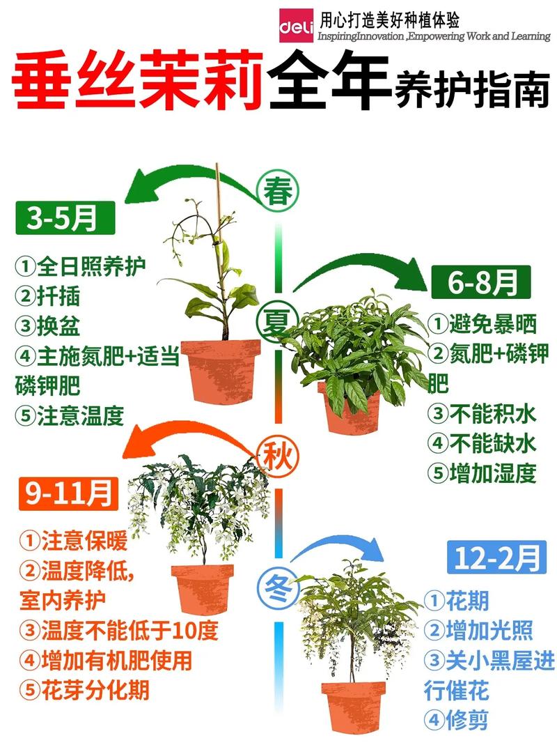 木梨花怎么用？功效与用法有哪些？-第3张图片-宁夏农业信息网