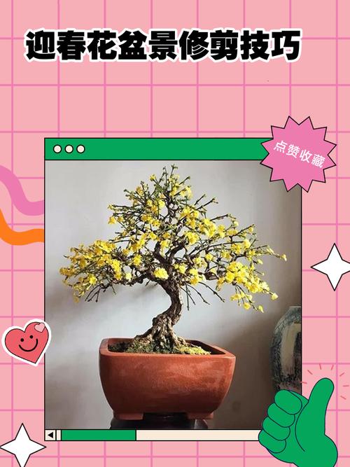 迎春花怎么浇水才正确？-第1张图片-宁夏农业信息网