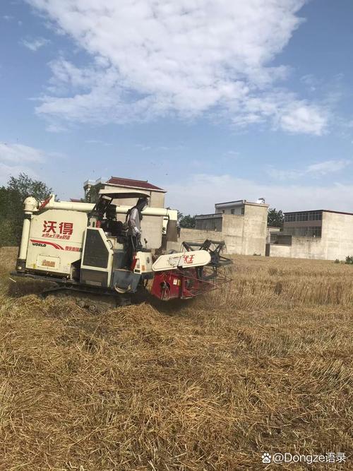 石家庄赶集网农用机械哪里找？-第2张图片-宁夏农业信息网