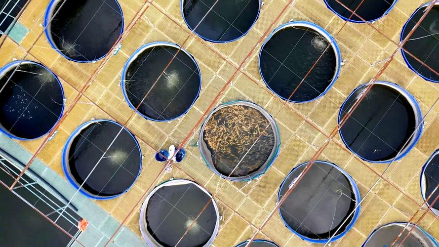 通城县水产发展现状如何？-第1张图片-宁夏农业信息网