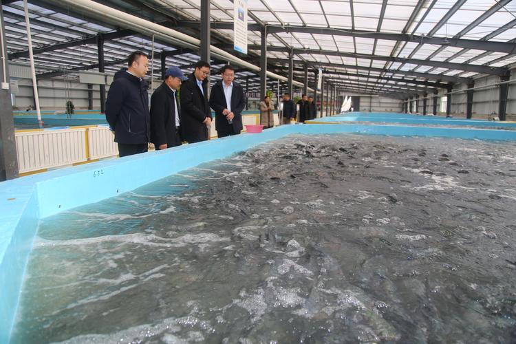 浙江水产饲料产业如何突破发展瓶颈?-第1张图片-宁夏农业信息网 浙江水产饲料产业如何突破发展瓶颈?-第1张图片-宁夏农业信息网