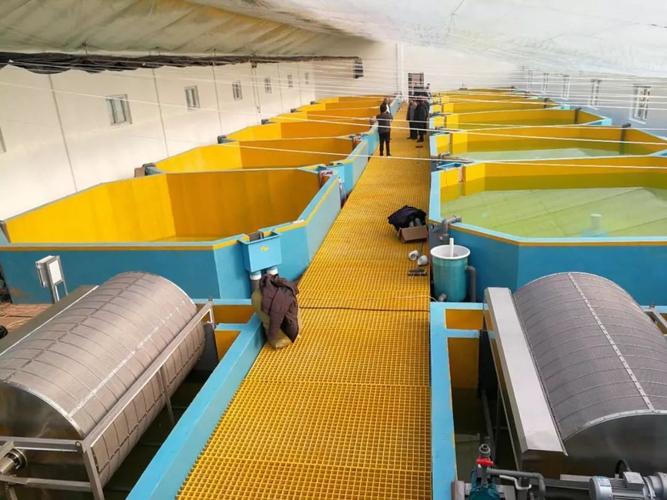 浙江水产饲料产业如何突破发展瓶颈?-第3张图片-宁夏农业信息网 浙江水产饲料产业如何突破发展瓶颈?-第3张图片-宁夏农业信息网