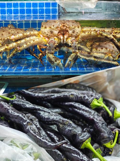 美国水产养殖调水产品有何独特优势？-第3张图片-宁夏农业信息网