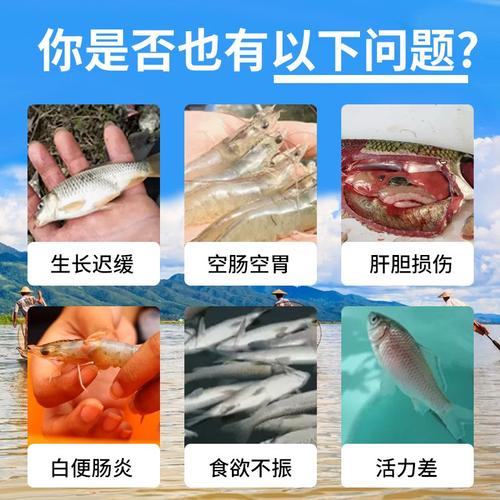 水产品养殖与水产养殖有何区别？-第2张图片-宁夏农业信息网