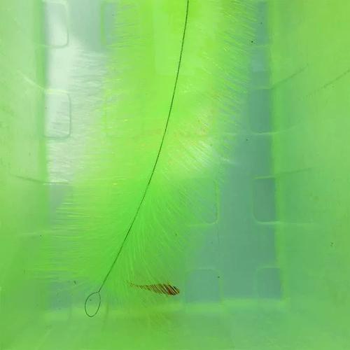 水产品养殖与水产养殖有何区别？-第3张图片-宁夏农业信息网