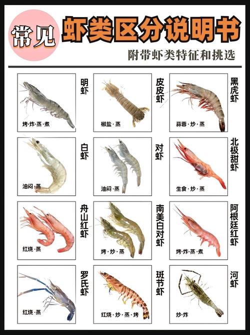 水产及水产品分类原则-第1张图片-宁夏农业信息网 水产及水产品分类原则-第1张图片-宁夏农业信息网