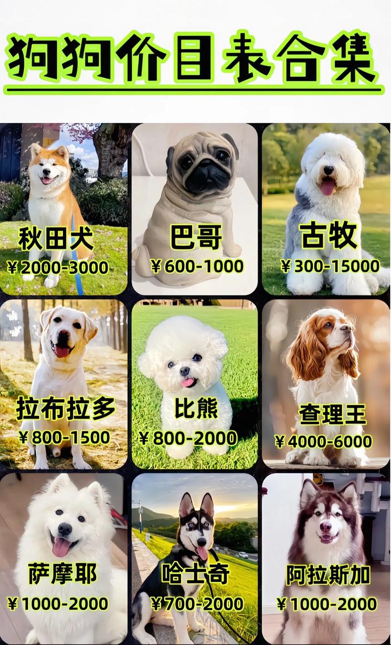 什么狗品种最赚钱？-第1张图片-宁夏农业信息网