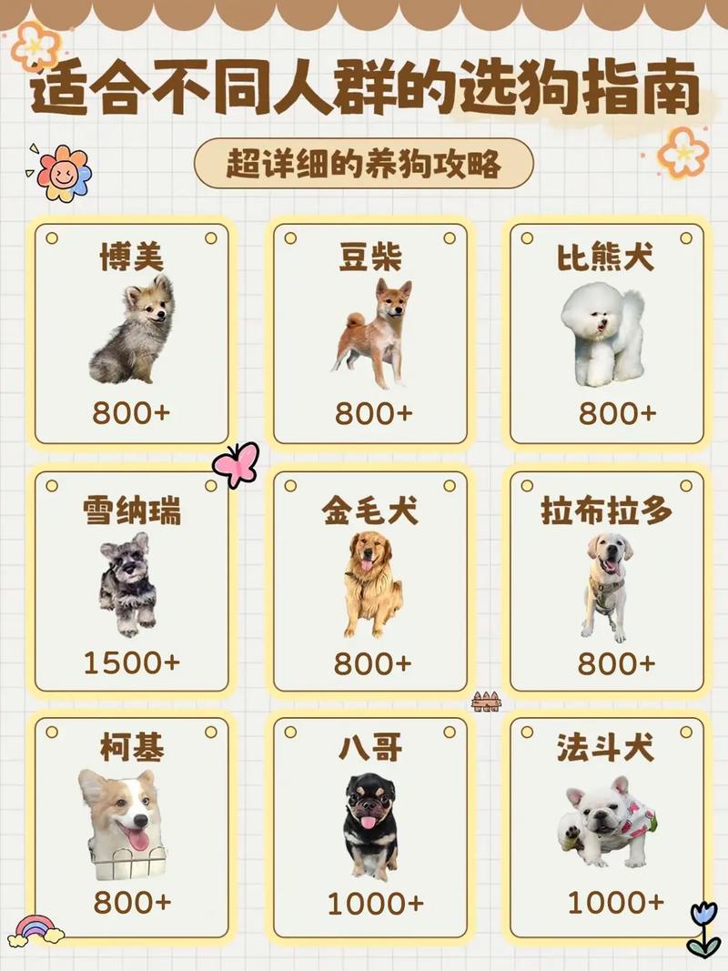 什么狗品种最赚钱？-第2张图片-宁夏农业信息网