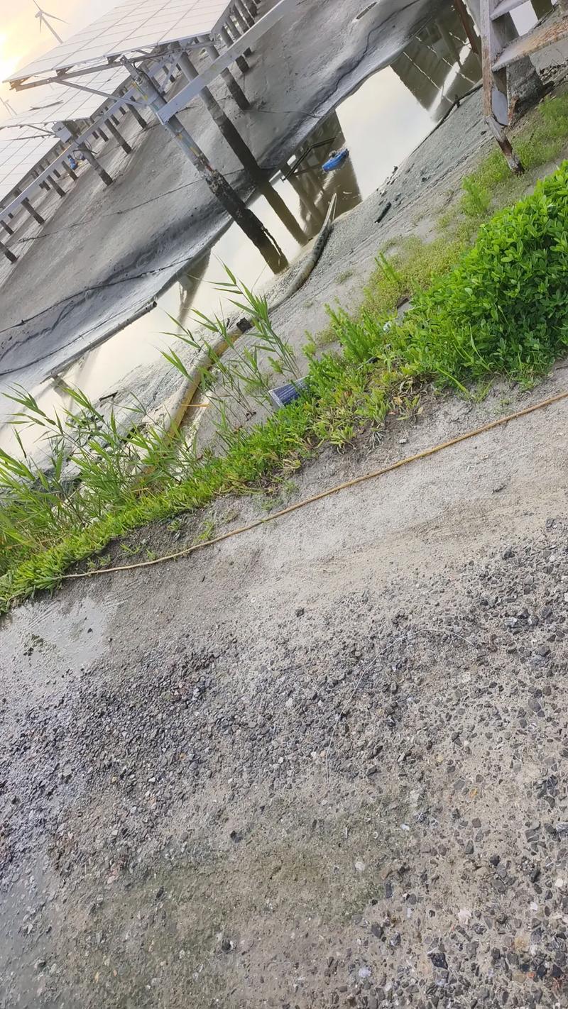 我国水产养殖主养品种有哪些？-第2张图片-宁夏农业信息网