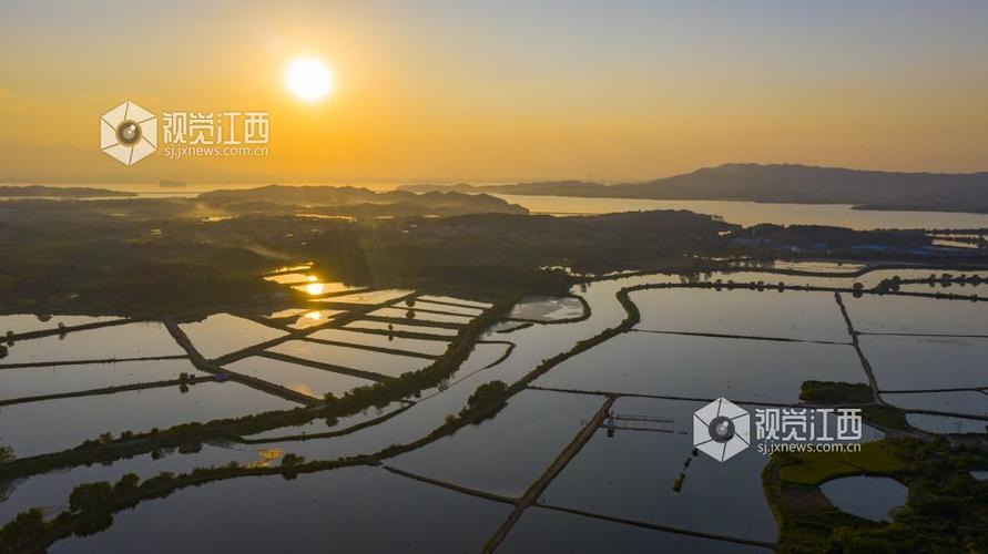 湖口水产局与水产集团如何协同发展？-第2张图片-宁夏农业信息网