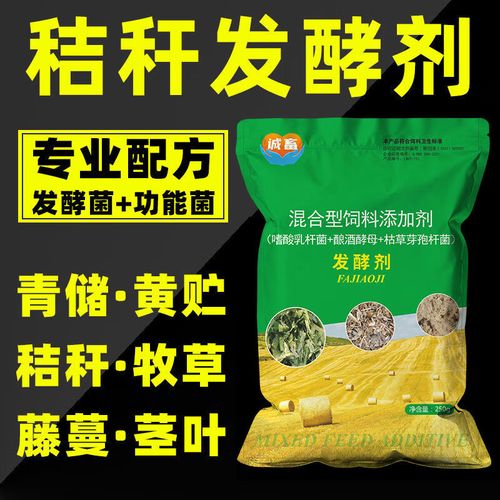 青饲料如何发酵喂牛才好？-第2张图片-宁夏农业信息网