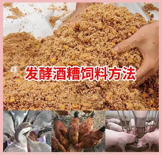 青饲料如何发酵喂牛才好？-第3张图片-宁夏农业信息网