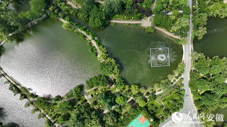 最新肉牛养殖技术有哪些突破？-第3张图片-宁夏农业信息网