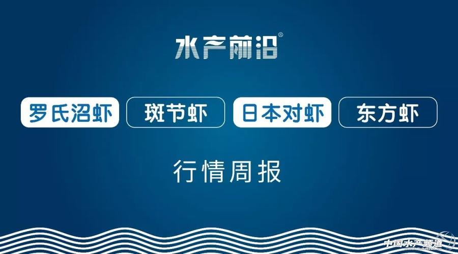 中国水产频道水产前沿有何行业洞察？-第2张图片-宁夏农业信息网