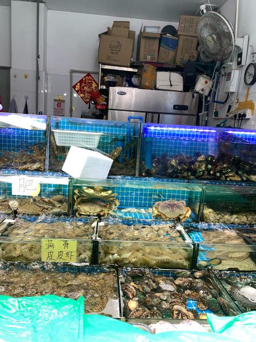 蓬莱水产VS淄博水产，谁更胜一筹？-第3张图片-宁夏农业信息网