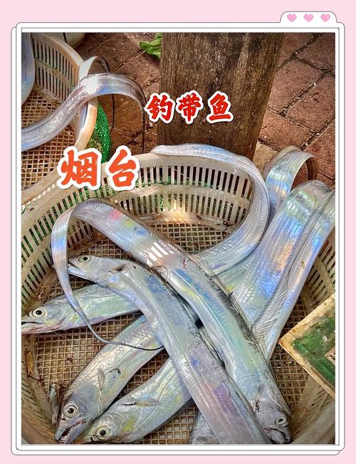 蓬莱水产VS淄博水产，谁更胜一筹？-第2张图片-宁夏农业信息网