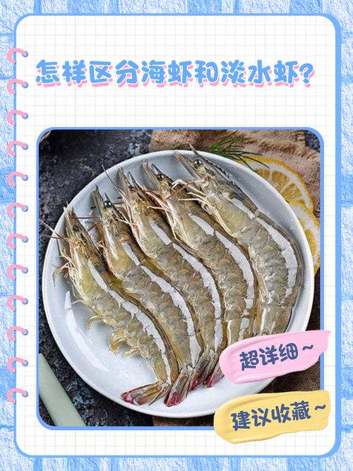 水产畜牧还是畜牧水产，顺序有何讲究？-第1张图片-宁夏农业信息网