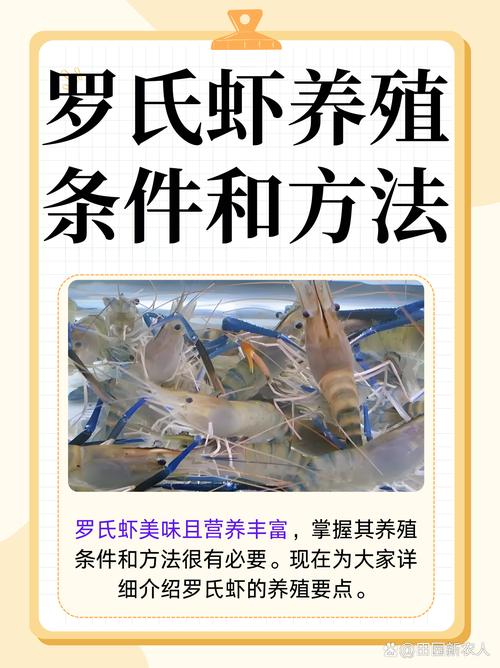 水产畜牧还是畜牧水产，顺序有何讲究？-第2张图片-宁夏农业信息网